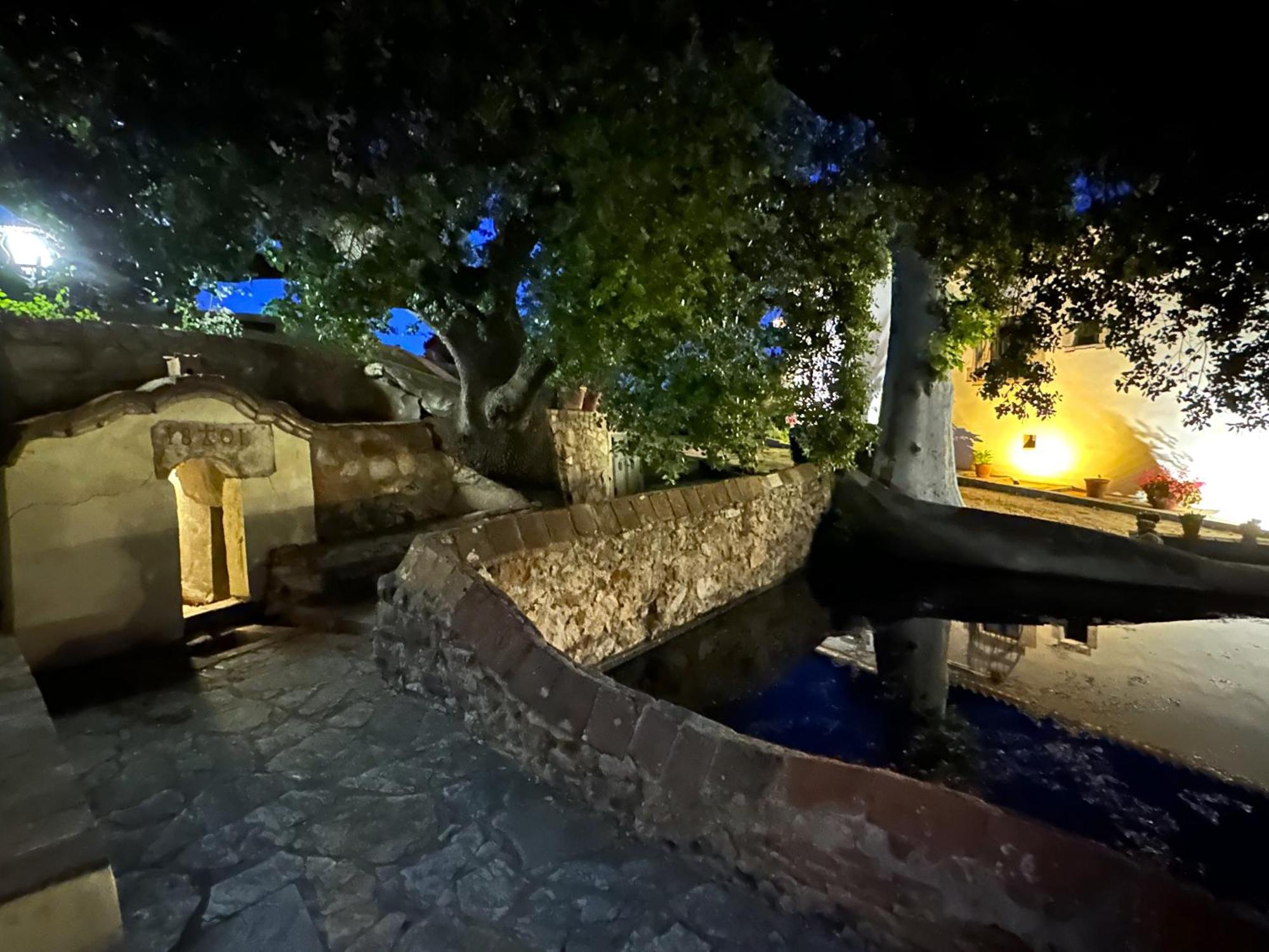 Masia Can Viver - Olive Oil Tourism B&B Bigues I Riells Exterior foto
